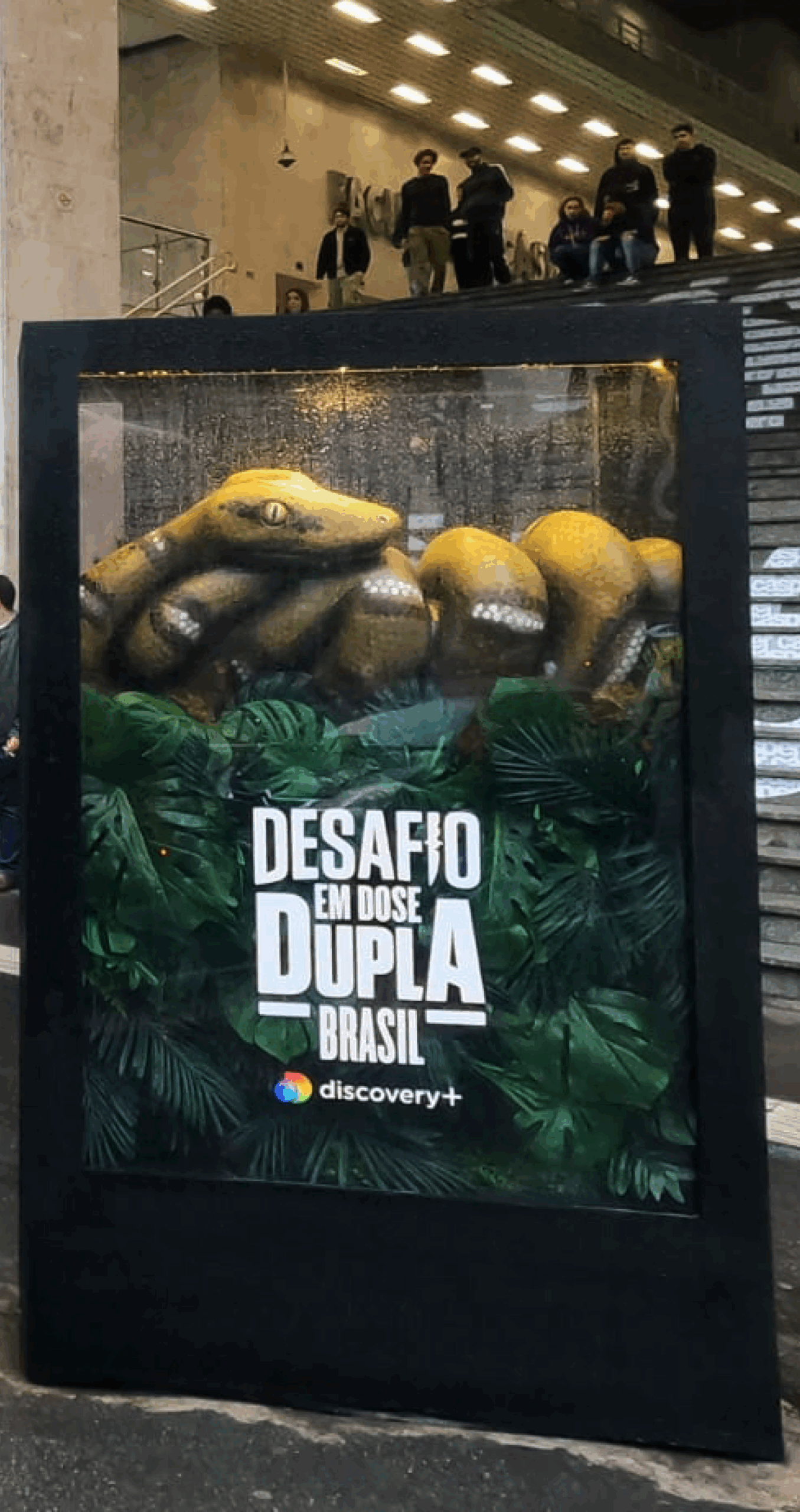 Discovery+